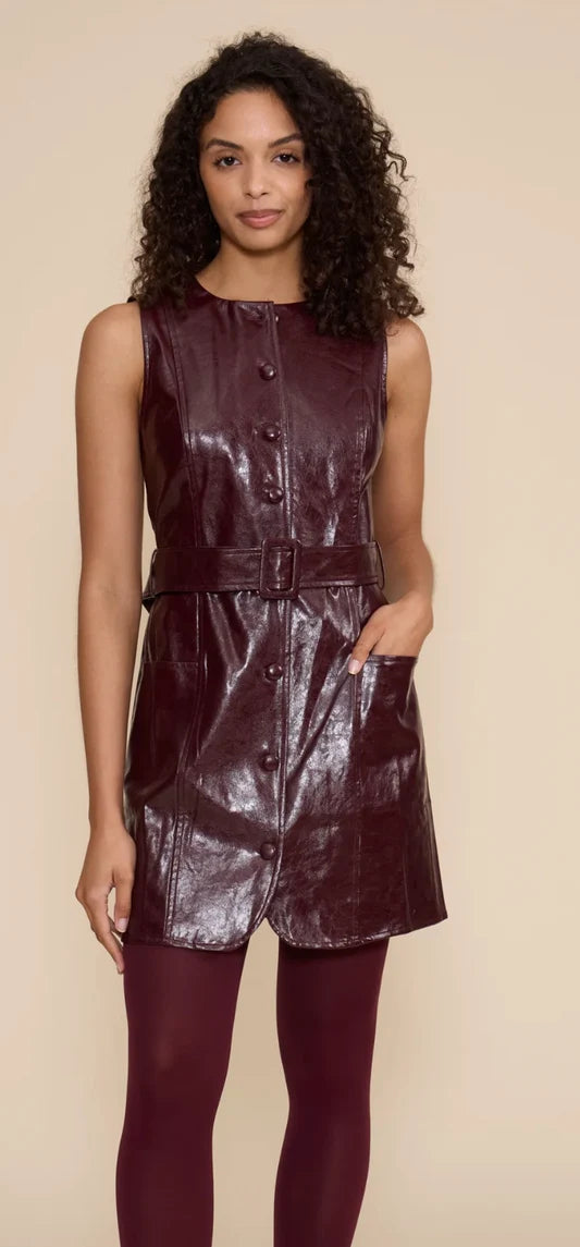 The Julian Faux Leather Mini Dress